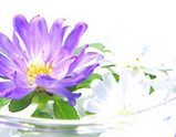 d175d27d.jpg