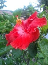 f32ea909.jpg
