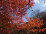DSCF1577