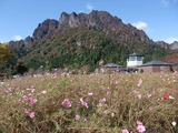 DSCF1693