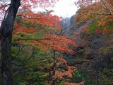 DSCF1660