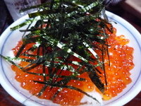 P1050342