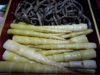 P1050333