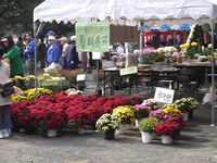 P1000202