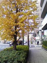 96ffb380.jpg
