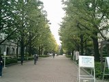 a7b5d146.jpg