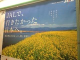 b8a41883.jpg