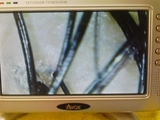 c6d787d7.jpg