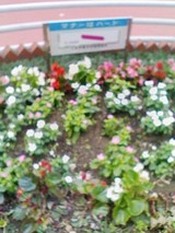 c828d4c9.jpg