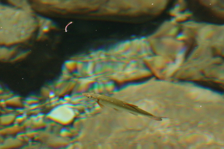 ¥¦¥°¥¤-1