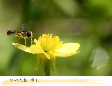 ���󥰥饹��