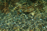 ��ή-4