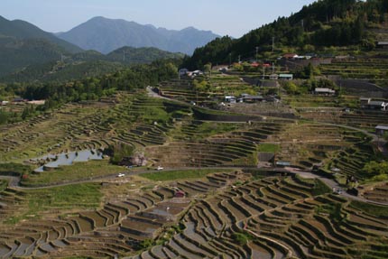 棚田-2