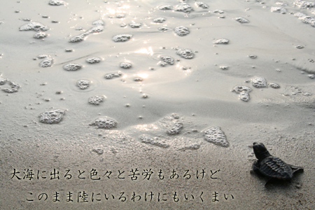 ¥¦¥ß¥¬¥á-1