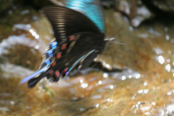 �ߥ�ޥ��饹������-2