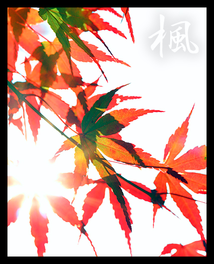 ����Ū��-2