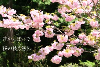 Ȭ�ź�-1