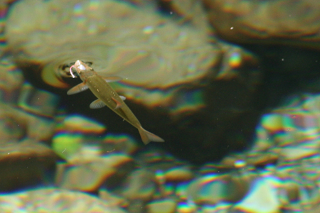 ¥¦¥°¥¤-2