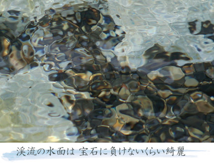 ·Ìή-1