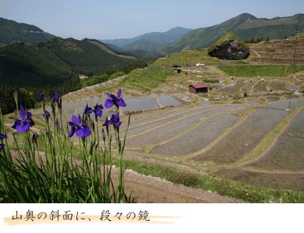 棚田-1