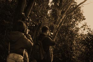 高野坂-3