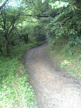 houdai2