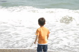 海