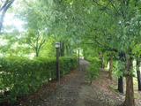 1c089fe0.jpg