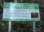 LESSON5