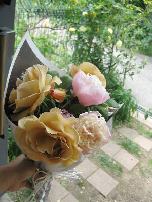 h200503kitaniwa4
