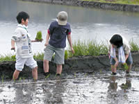 冷たい水にびっくり