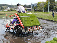 田植機