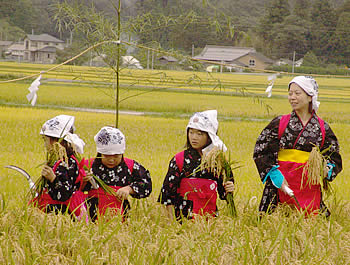 抜穂祭