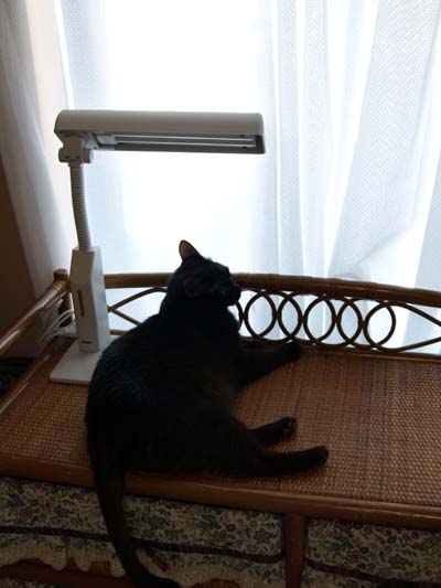 2008.08.20-01
