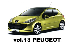 13peugeot