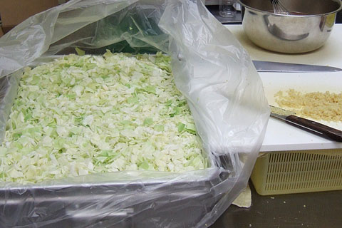 夏目家