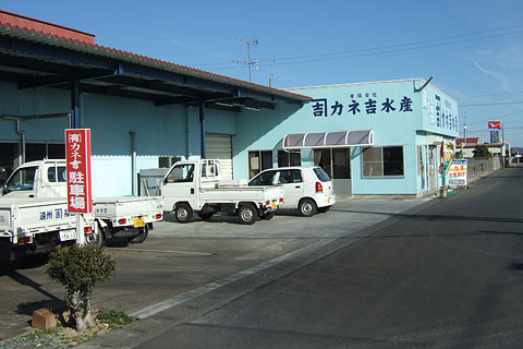 ���͵ȿ建