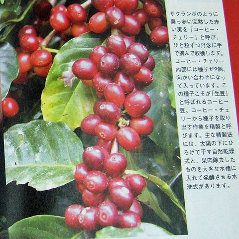 コーヒータイムブック