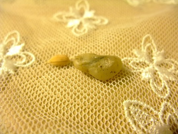 DSCF8216