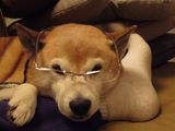 ���󤯤�