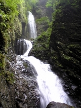 6109a45d.jpg
