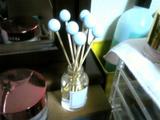 DVC00087 (Small)