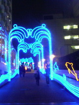 魚2