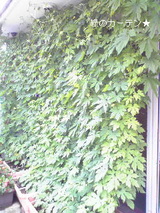 04080c6a.jpg