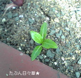 f5df55a3.jpg