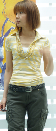 ŽÌŽ×ŽÝ޽¤Î²«¿§¤Î¥Ý¥í¡¡5900±ß