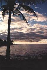 hawai
