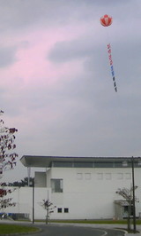 156254e8.JPG