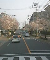 pic_0373.jpg