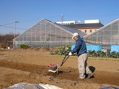 耕し中